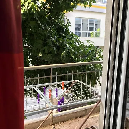 Broom Kardítsa